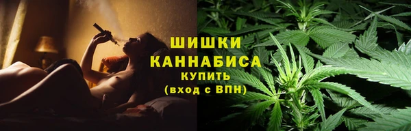 соль ск Белокуриха