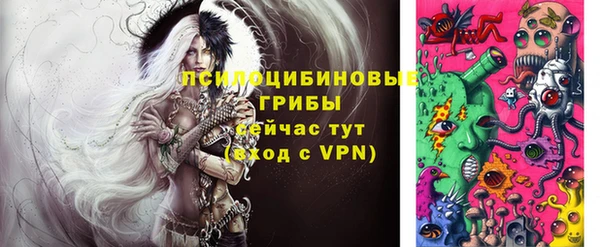 ешки Семилуки